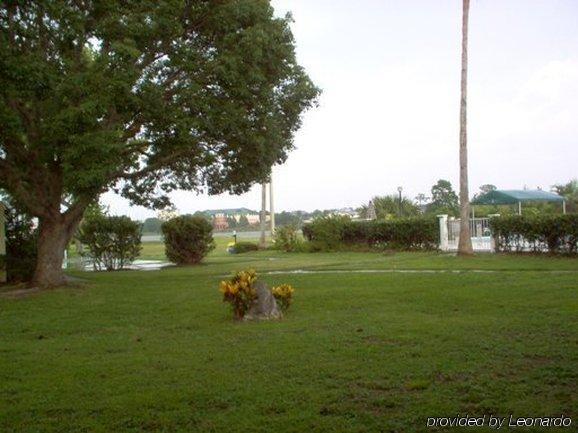 Inn On The Green Florida ทาวาเรส สิ่งอำนวยความสะดวก รูปภาพ